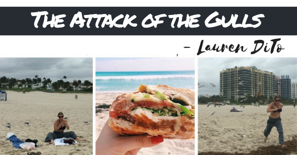 The Attacks of the Gulls